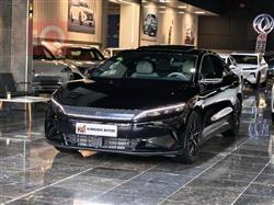 بي واي دي هان